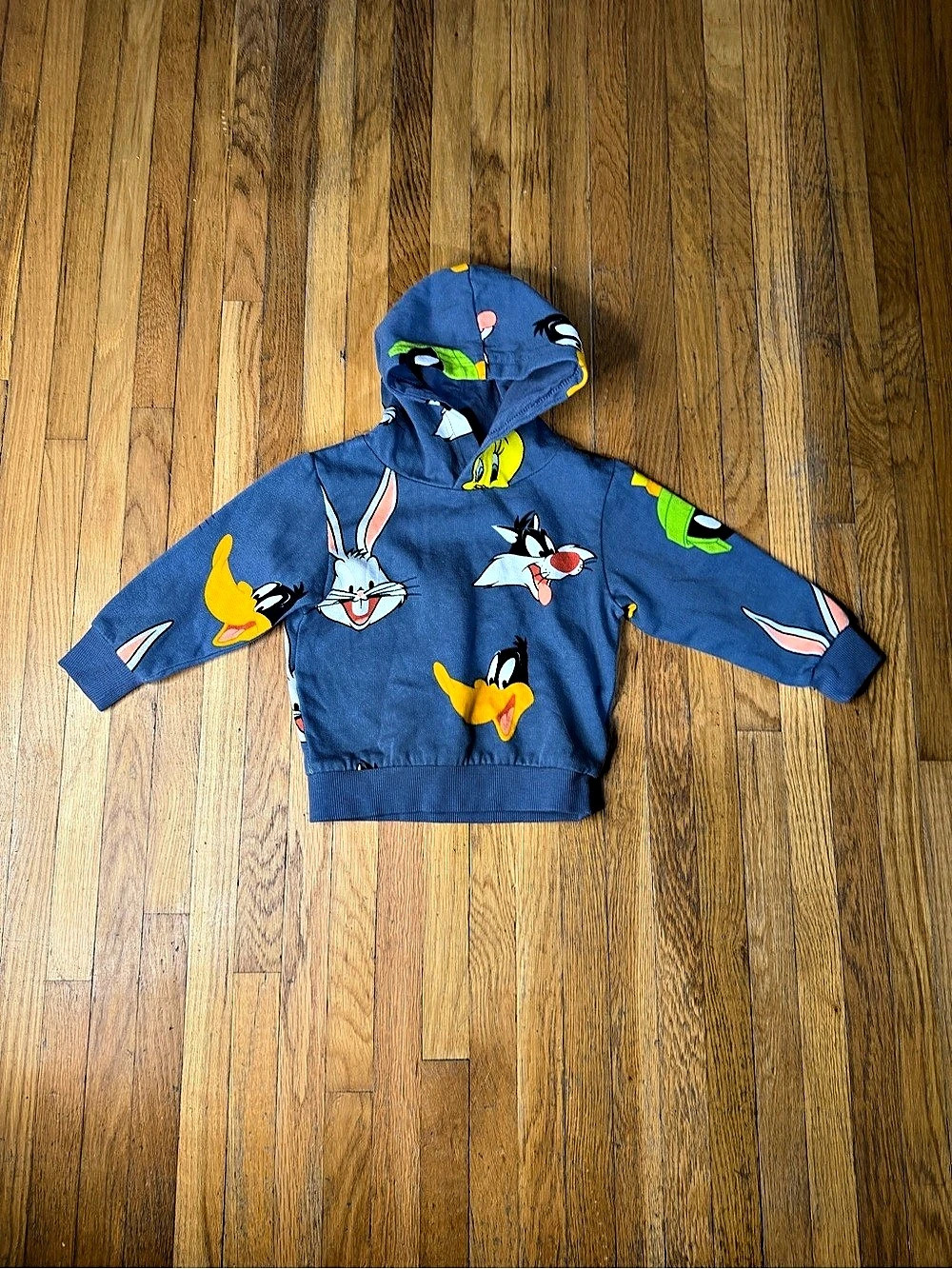 H&M Looney Tunes Print Hoodie Kids 2T